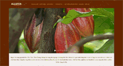 Desktop Screenshot of cacaoxralluvia.com